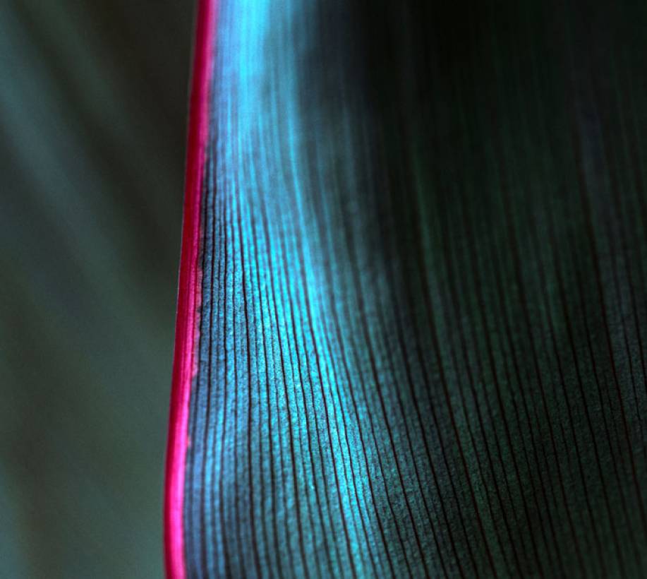 website-images-PIN64