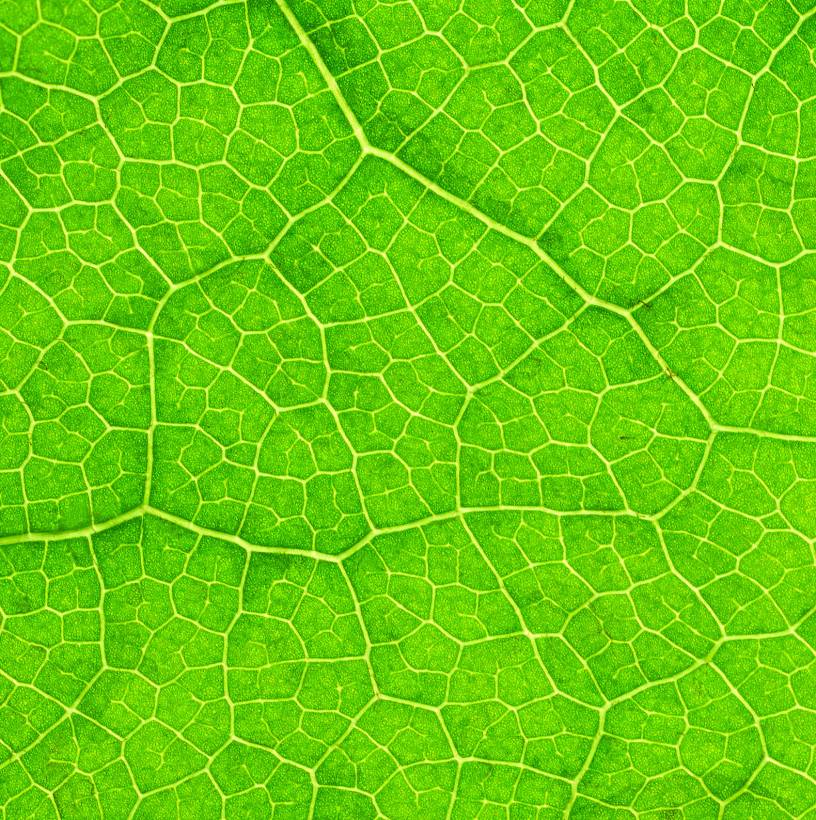 HR.com article
