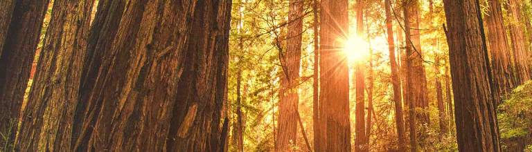 220510_column_mayu_01_header