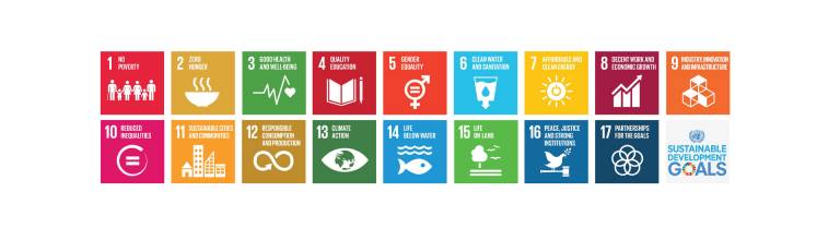 Stimulating Action on Global Goals