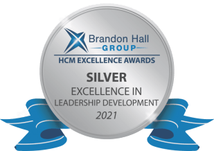 Silver award for best unique or innovative leadership development programme