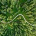 An aerial image of a road through a forest 