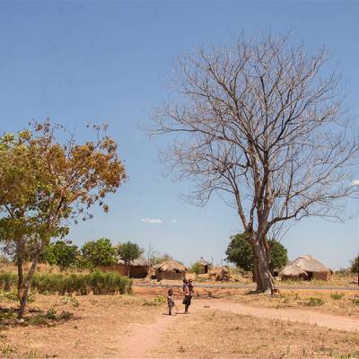 Zambia, Wasafiri, Impact Project