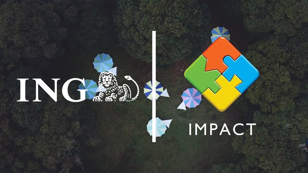 Emerging Leaders at ING